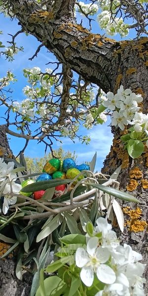 Nidos de Pascua